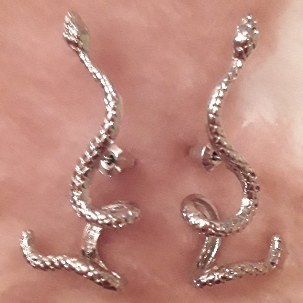 Winding Silver Snakes Stud Earrings